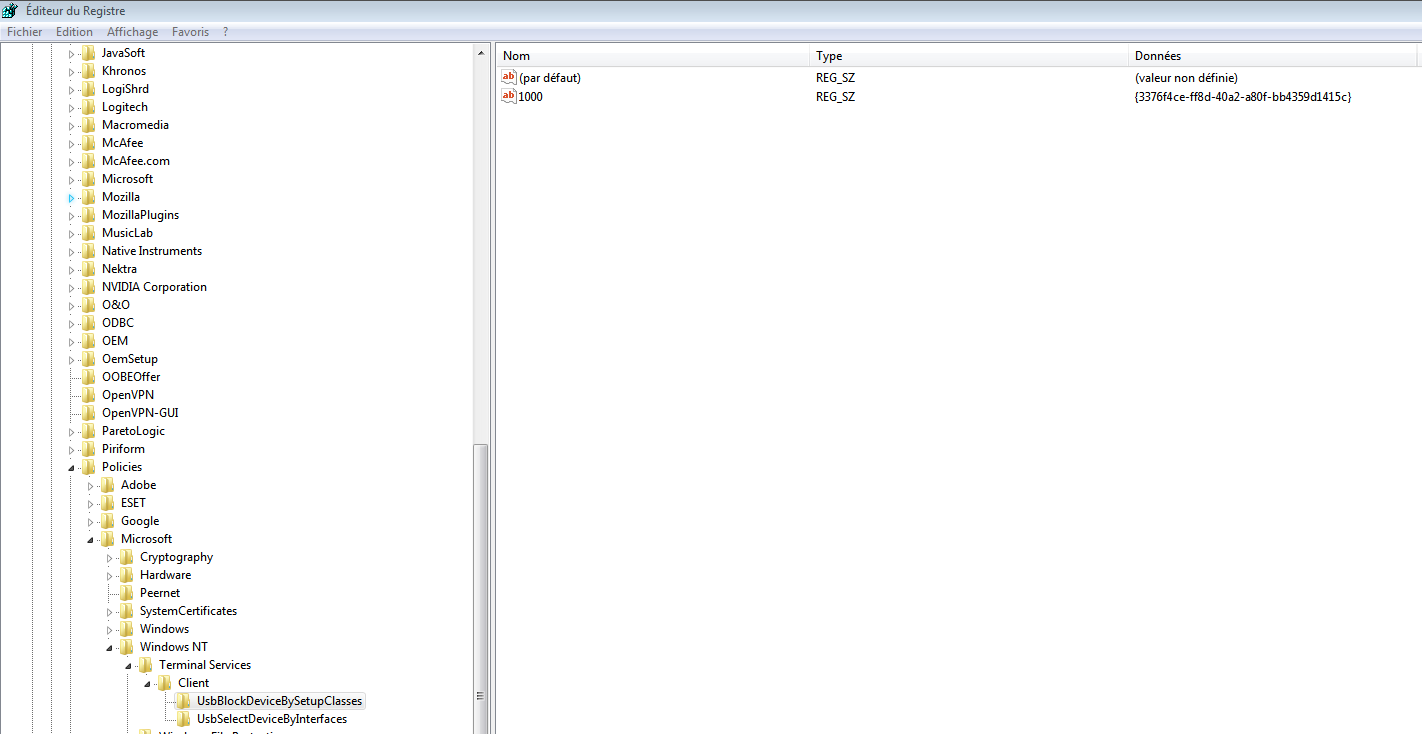 Capture Regedit  2.PNG
