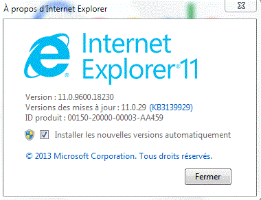 Capture-internet explorer sous WS 7.GIF