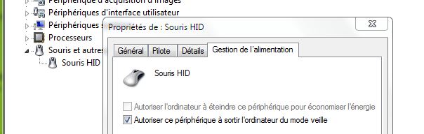 Capture-gestion de veille de la souris.JPG