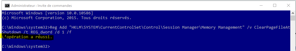 Capture-résultat commande vider page file.PNG