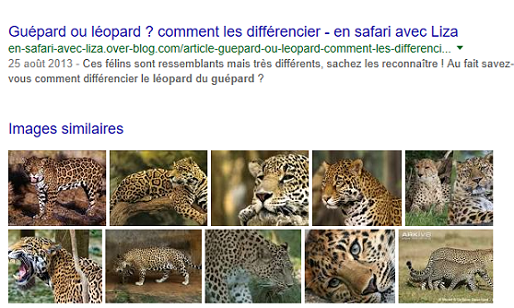 Recherche par image-2.png